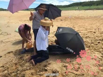 村民自觉救助搁浅海豚 为其撑伞遮阳
