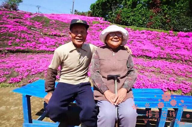 有爱！老人为失明妻子种出一片花海