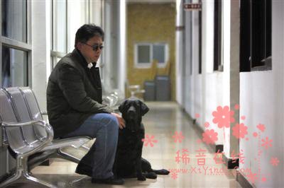 北京导盲犬"乔乔"被送回 身上携纸条"请求原谅"