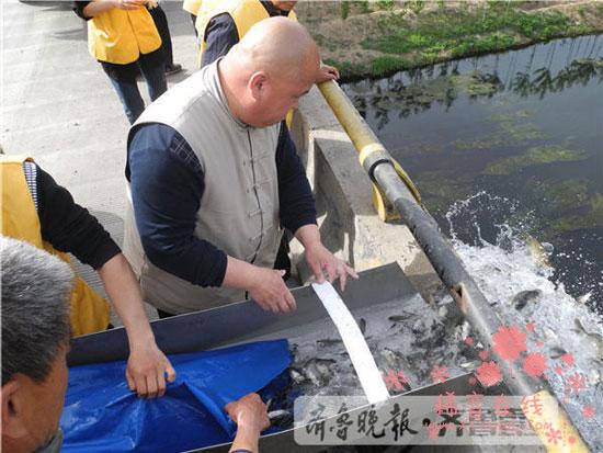 济南放生江湖：放生者出钱不到场 百万善款流水