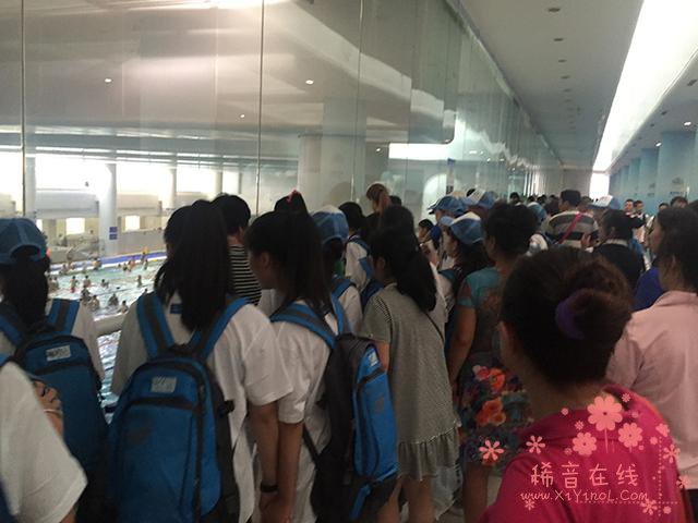 智行基金会北京夏令营 孩子们积极学习互动