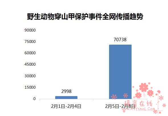  “穿山甲”爬上头条 野生动物保护受网民关注