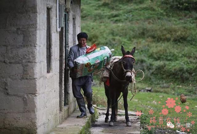 代课28年 月薪从60涨到800块