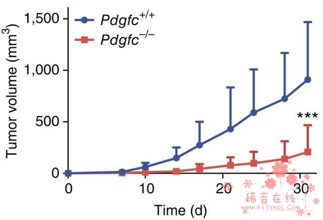 降维打击 科学家成功将难治型乳腺癌变成易治型