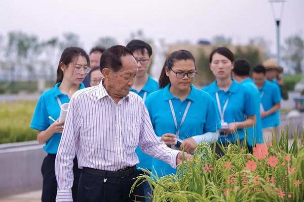 迪拜酋长看上袁隆平这项研究，要在沙漠建绿洲