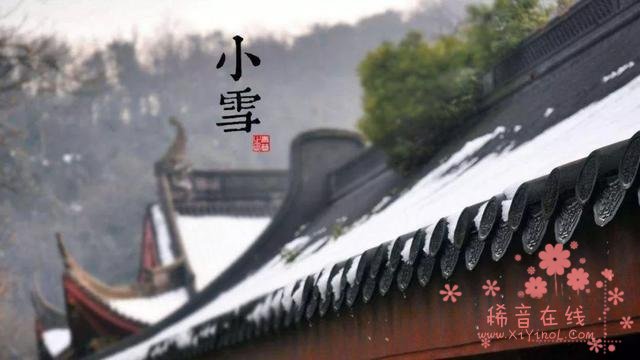 小雪养生:生吃萝卜熟吃梨 必看"冬藏"指南